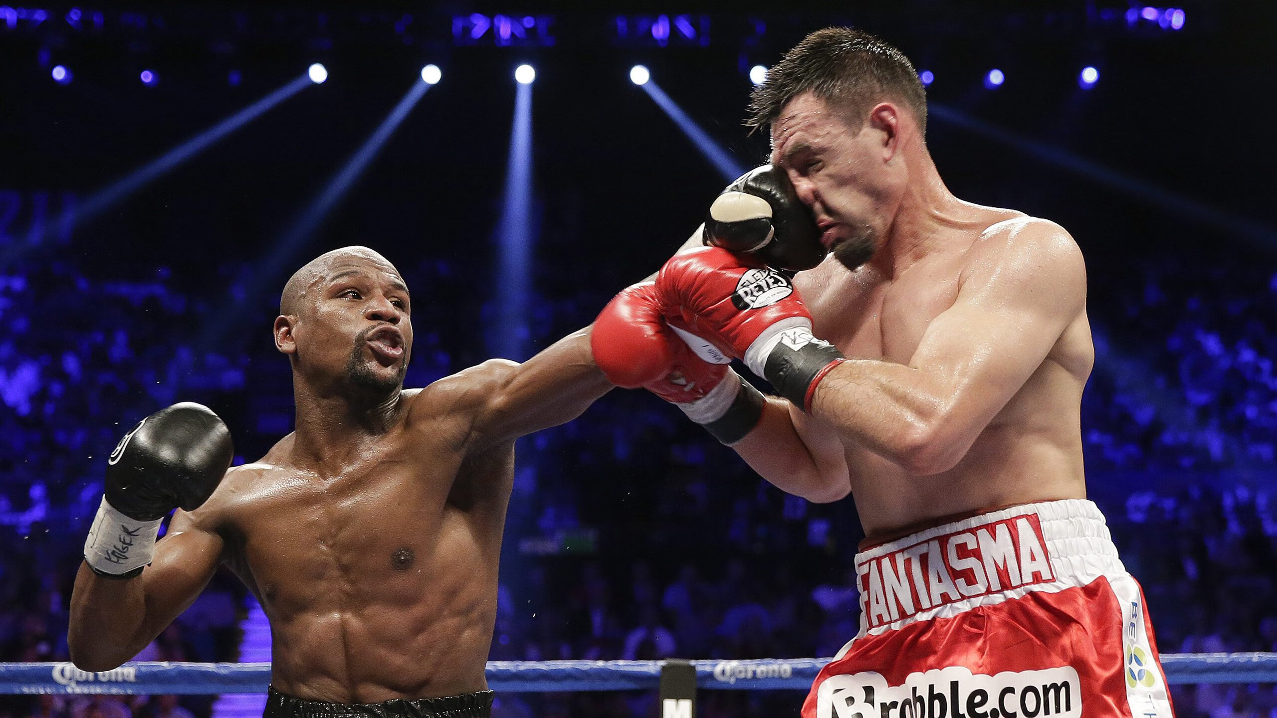 “机器人裁判的终极考验：效率、精准度与公平的完美融合”，机器人裁判认证考试